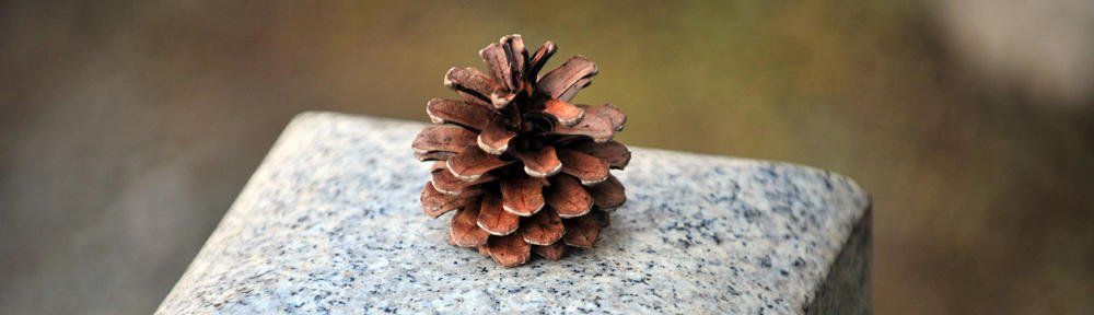 Sapot-Litrato (Webphoto)