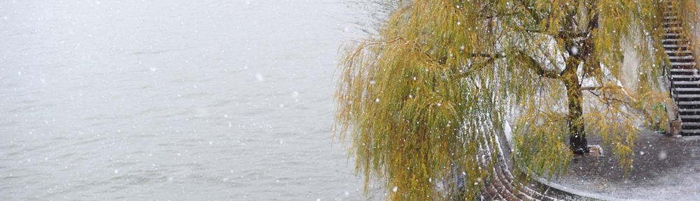 Sapot-Litrato (Webphoto)